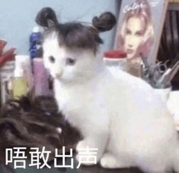 赵薇素颜健身,张韶涵运动必化妆,带妆健身到底科学吗