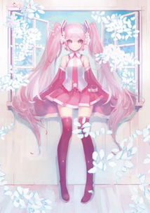 求初音未来的美图