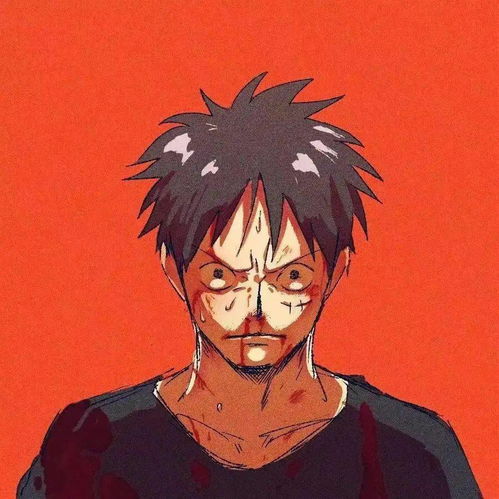 臭宝该换微信头像啦