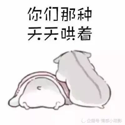 仓鼠表情包我想问问你们啊