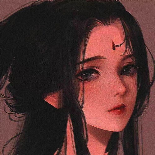 ,收藏夹