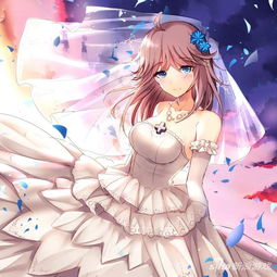 战舰少女r仓鼠太太北宅婚纱图我宅美如画