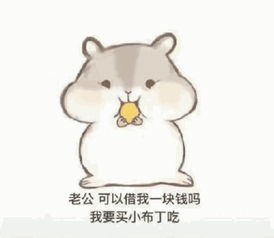 老公老婆日常聊天表情包,情侣必备