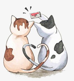 拍照的小猫素材图片免费下载高清png千库网图片编号7931554